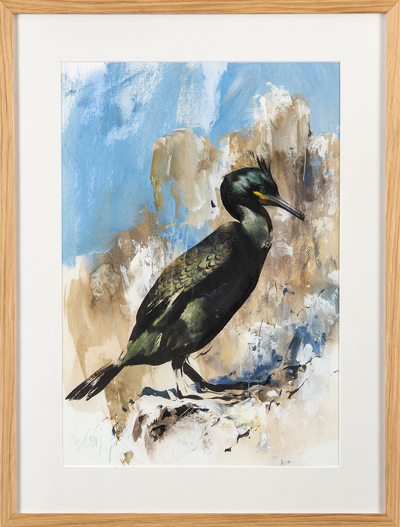 Shag on the Rocks