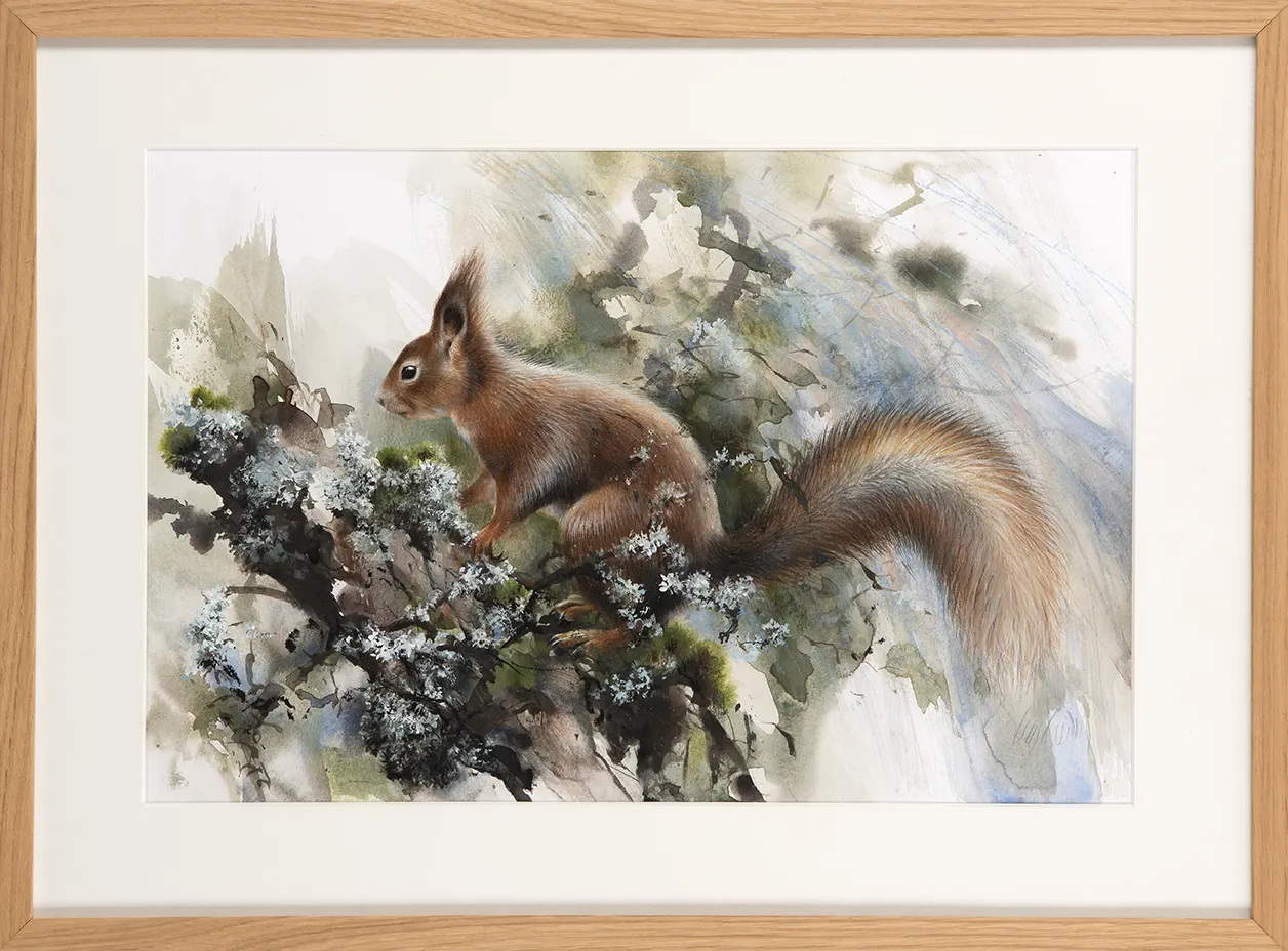 Red Squirrel at Dusk