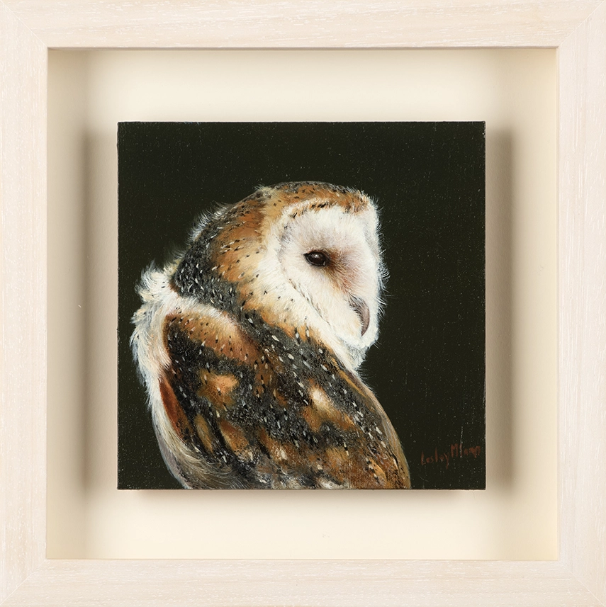 Ruffled Owl