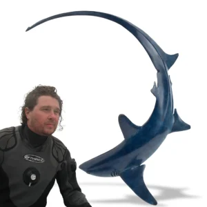 Nicolas Pain