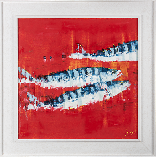 Red Mackerel