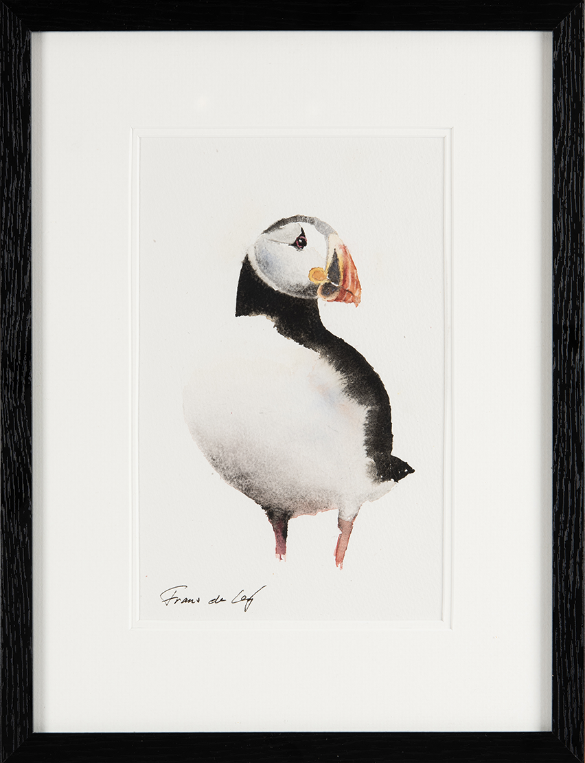 Puffin 1