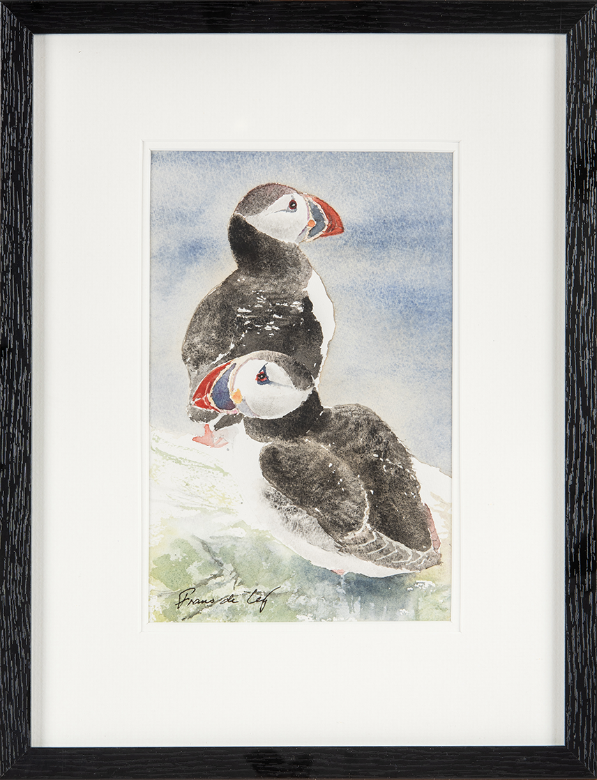 Puffins on The Rocks