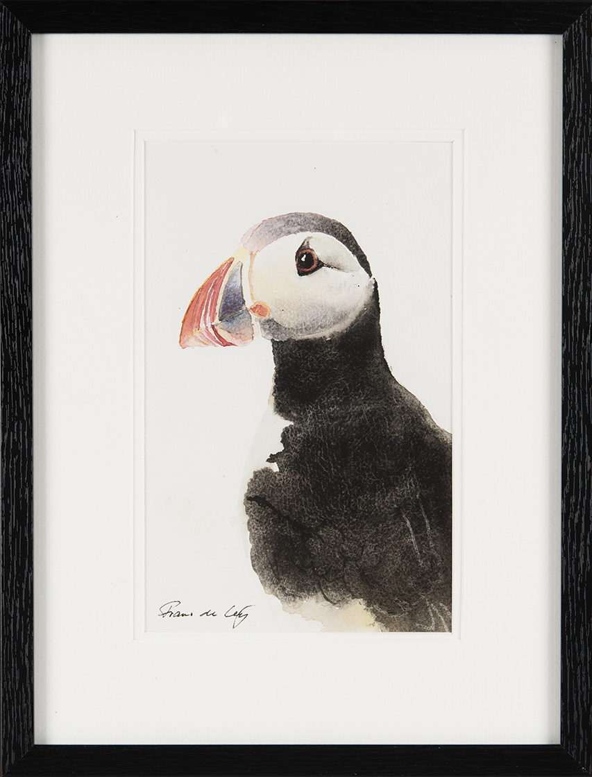 Puffin 2