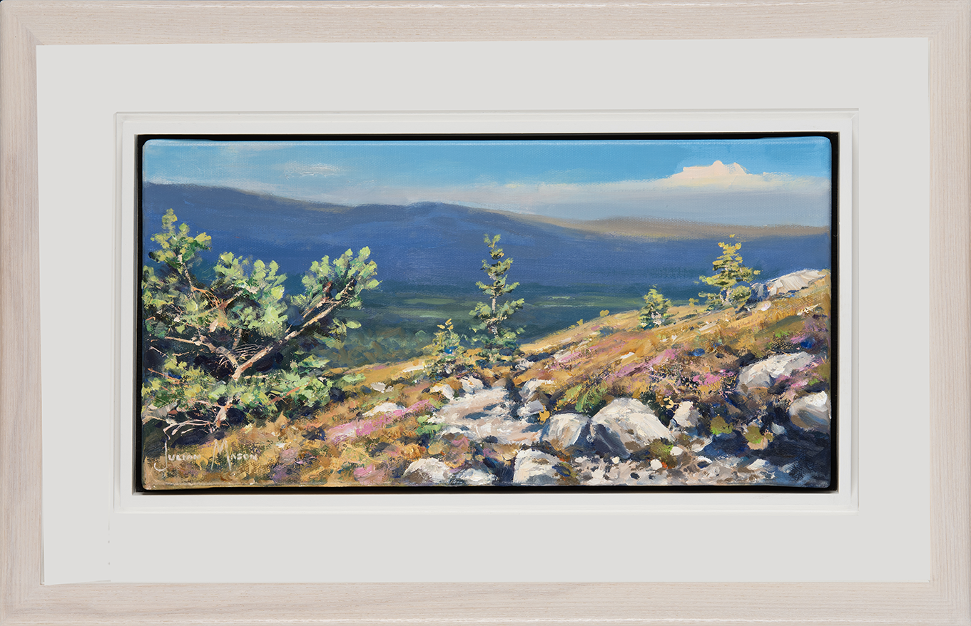 Rothiemurchus Wanders Cairngorm