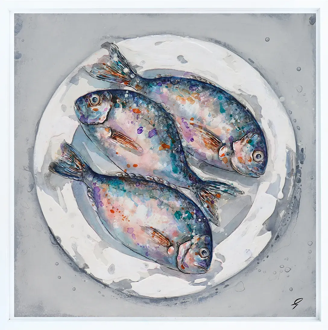 Black Bream
